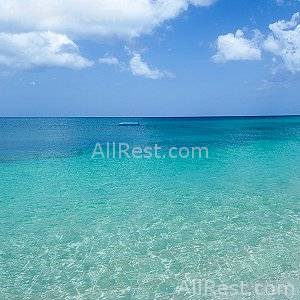 Coral Reef Club 36